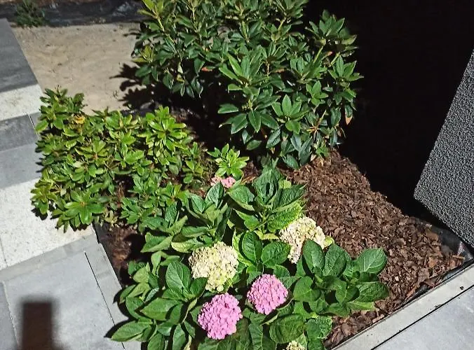 Apartmán 3-studio *