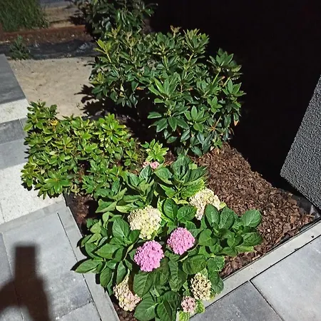 Apartament 3-studio *