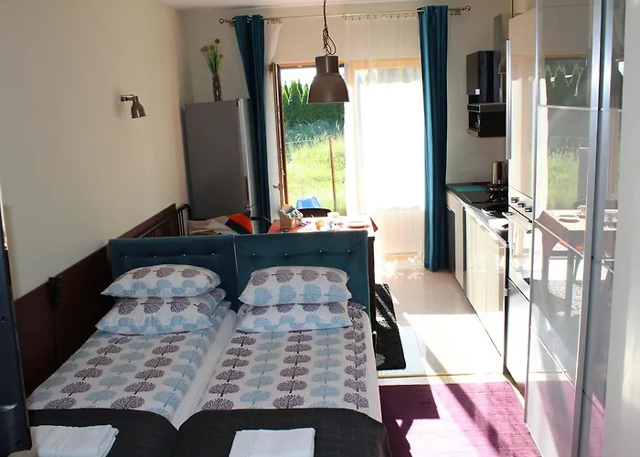 3-studio Apartment Poznan